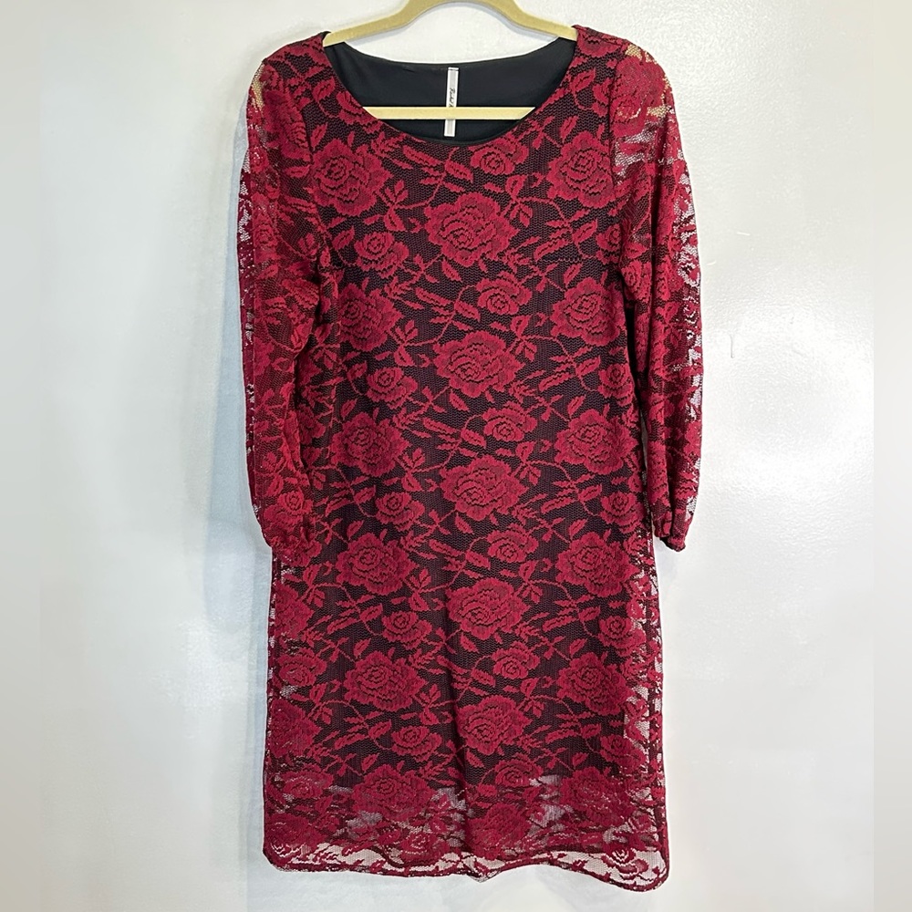 NWT Rachel Kate beautiful lace dress.